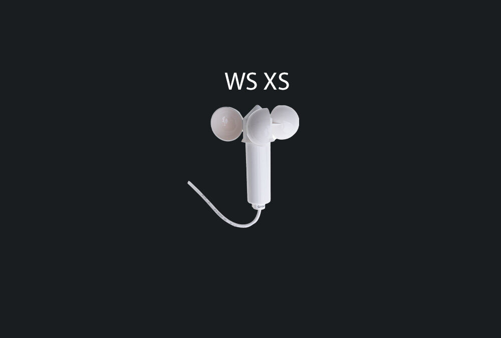 WS XS