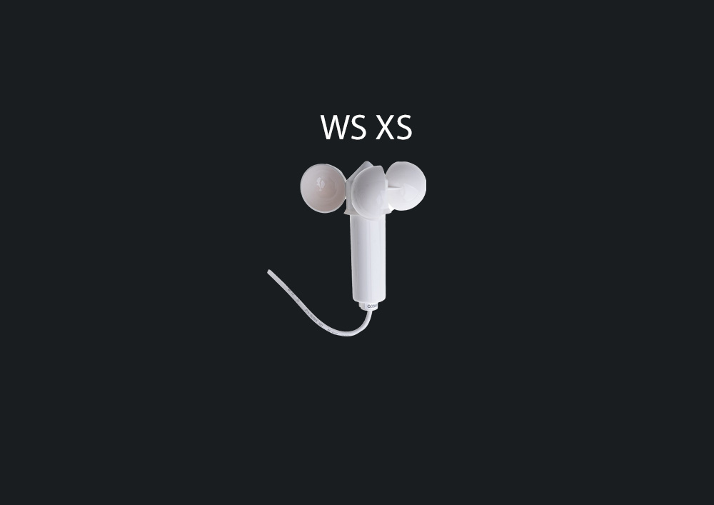 WS XS